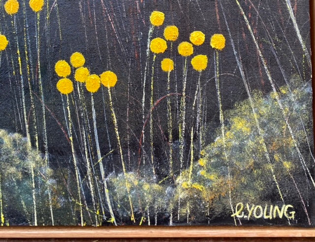 Billy Buttons of the High Plains - Triptych -SOLD-