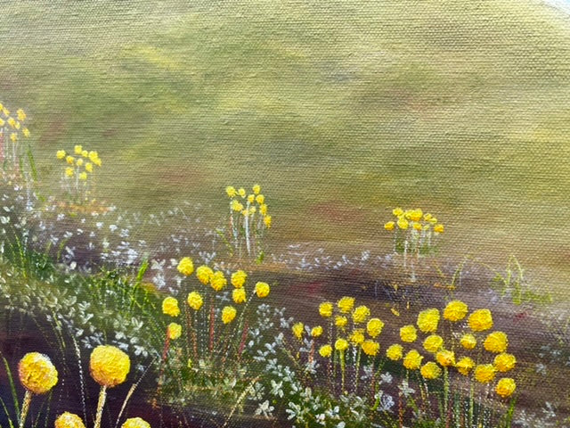 BILLY BUTTONS ON BOGONG - SOLD-